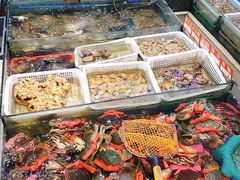 -东江海鲜大排档·潮汕菜·砂锅粥
