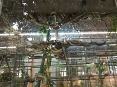 -荔城生鲜盛宴(番禺旗舰店)