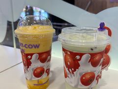 -一只酸奶牛(洪崖洞11楼店)