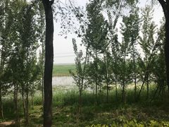-白洋淀景区
