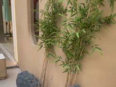 -宁采臣Sleep·采耳·SPA放松馆(湖里万达店)