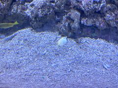 -常州海昌海洋探索馆