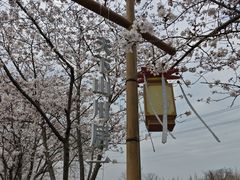 -长田漾湿地公园
