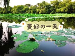 -北陵公园