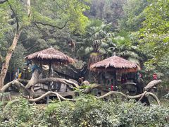 -宁波野生动物园