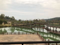 -乳源丽宫国际温泉酒店