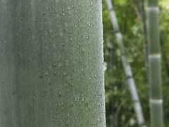 -金堂县云顶石城风景区