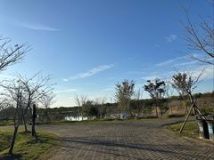 -上海海湾国家森林公园