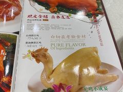 -姚林轩