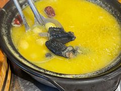 -老号尤兔头(幸福店)