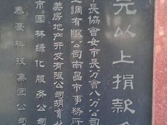 -绳金塔