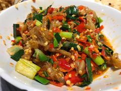 -壹盏灯(惠农店)