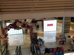 -紫荆广场·花漫里