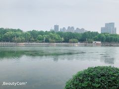 -后襄河公园