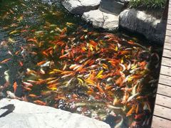 android_upload_pic-中国唐苑