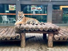 -西安秦岭野生动物园