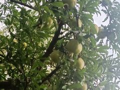 -人民广场-地下停车场