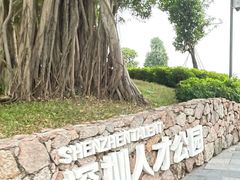-深圳人才公园