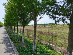 -嘉北郊野公园