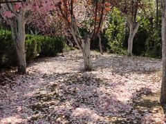 -老板恋上鱼(荣盛广场店)