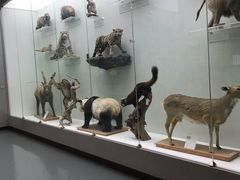 -国家自然博物馆