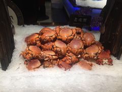 -加餐海鲜自助(宝龙一城店)
