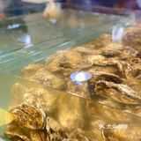 小区附近的夜宵好去处｜好吃不胖