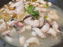 -大鼎石锅鱼(春江里店)
