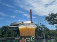 -Green Option(官舍店)