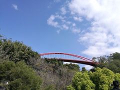 -金鸡山公园