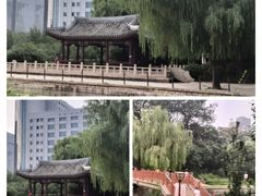 -元大都城垣遗址公园