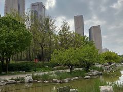 -大望京公园