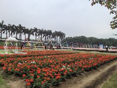 景点-盈香心动乐园