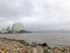 -野狸岛