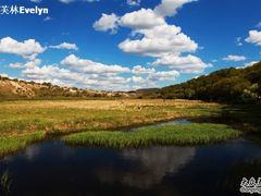 -塞罕坝国家级自然保护区