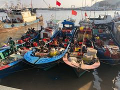 -渔中舟海鲜大排档(普陀沈家门店)