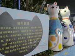-福懋动物医院·犬猫全科·外科·重症科(杏林分院)