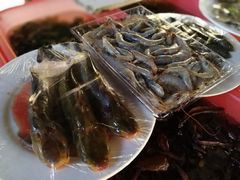 -可心烤鱼