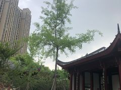-堤角公园