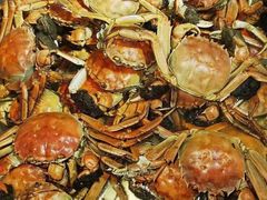 -青岛蓝海大饭店·爱琴海自助餐厅(崂山店)