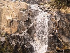 -海南霸王岭国家森林公园