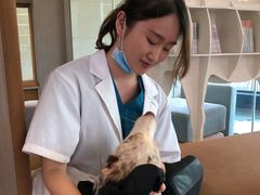 -安安宠医宠物医院·异宠·犬猫内科(岳阳分院)
