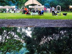 -清泉湾生态旅游度假区