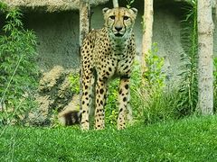 -北京野生动物园