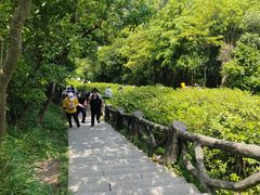 -梧桐山风景名胜区