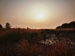 -野鸭湖国家湿地公园