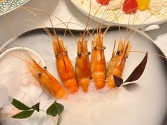 -桂满陇·海市蜃楼·黑金(国金店)