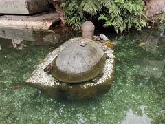 -鼎湖山风景区