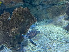 -常州海昌海洋探索馆