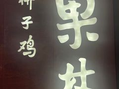 -百年果林椰子鸡(中洲店)